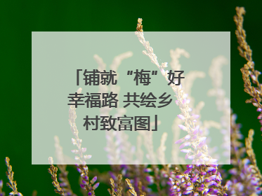 铺就“梅”好幸福路 共绘乡村致富图
